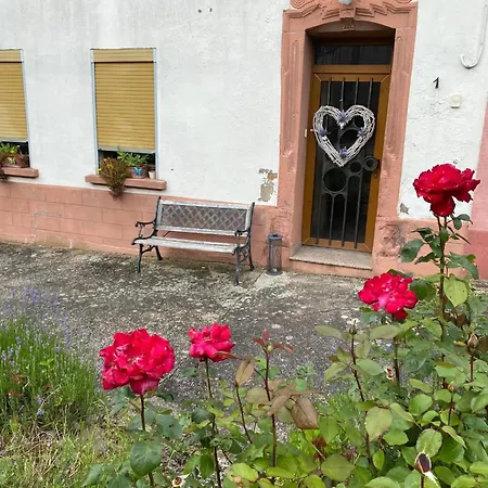 Maison Charmante A Avec Terrasse Et Jardin Hotel Volmunster